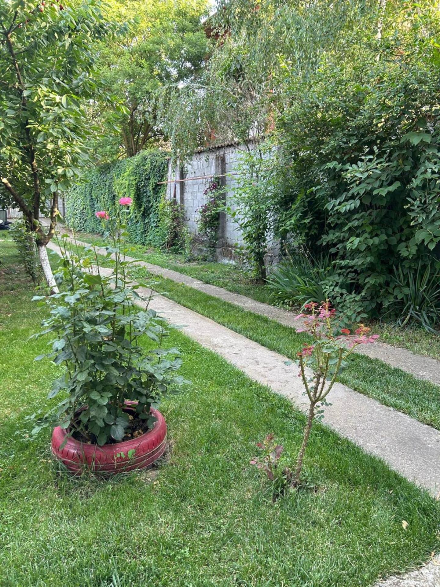 Vila De Inchiriat Aproape De Therme Balotesti Luaran gambar